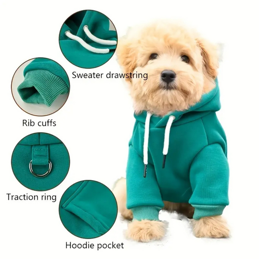 Dog Hoodie