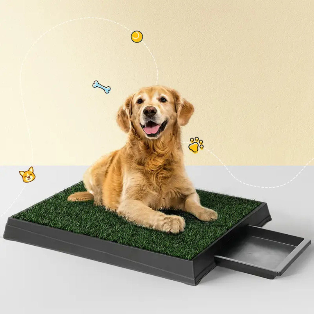 Pet Potty With Tray Grass Mat