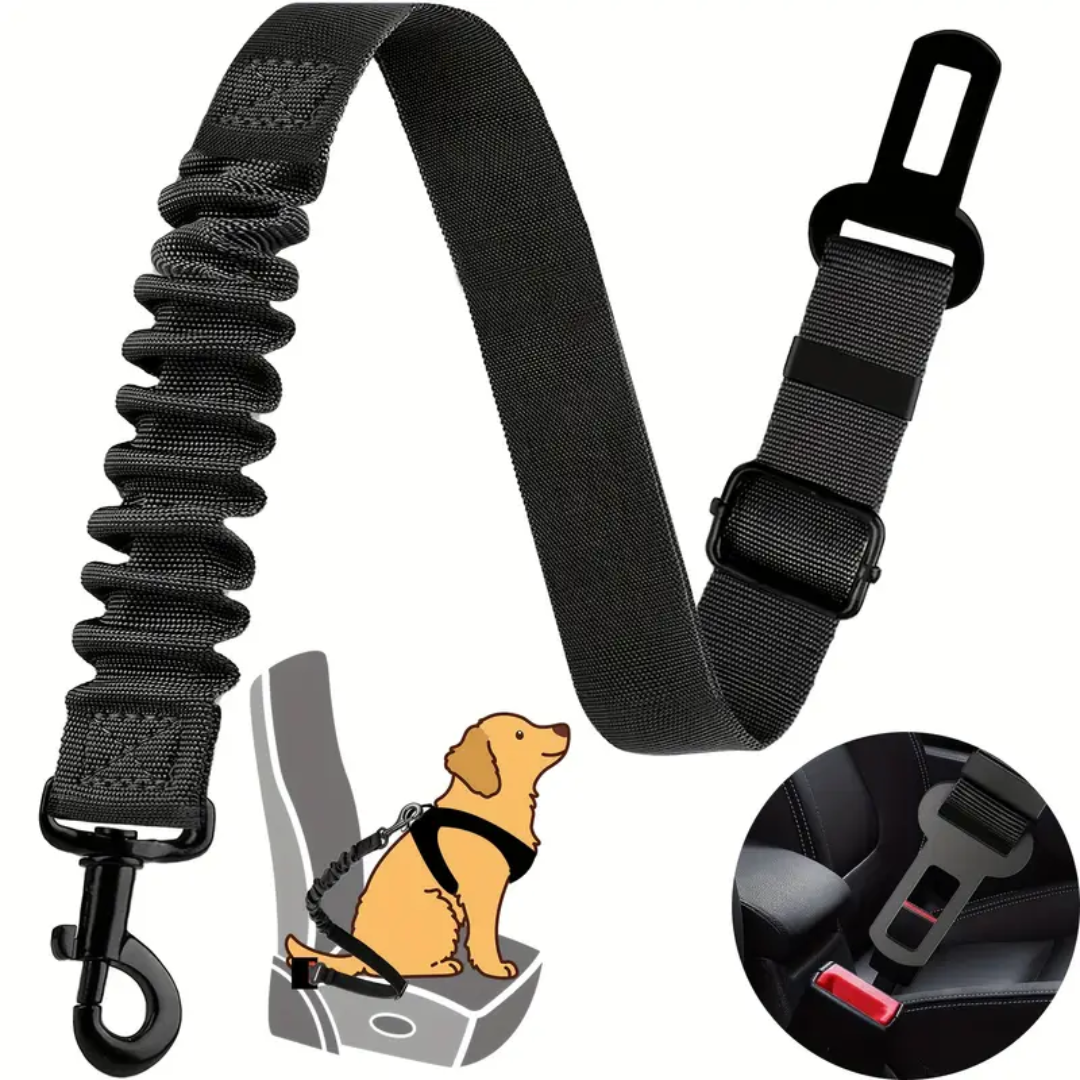 Elevated Double Bowl Feeder (free belt harness included)
