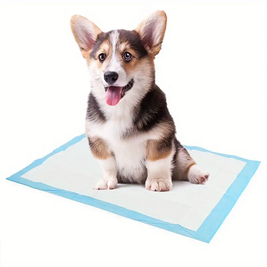 Pet Toilet Pad (40pcs)
