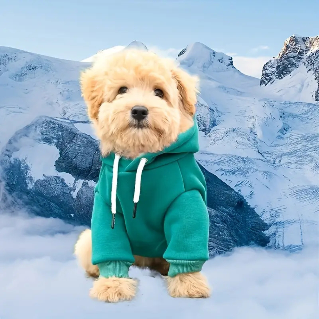 Dog Hoodie