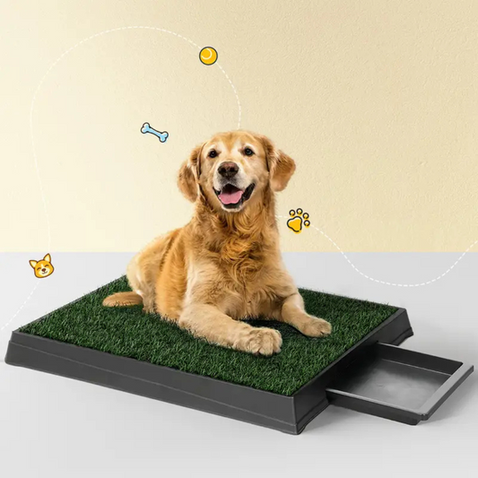 Pet Potty With Tray Grass Mat