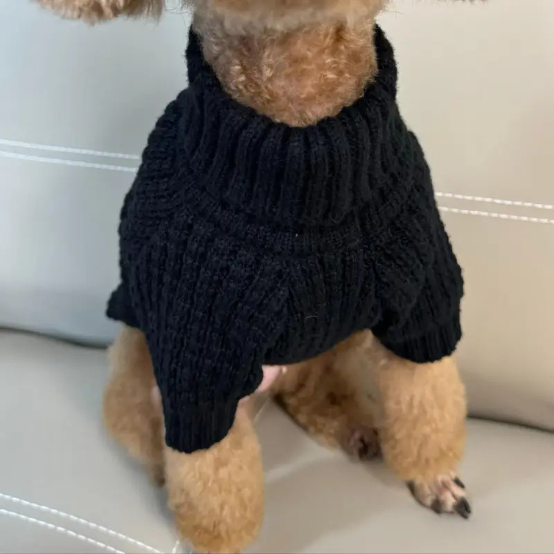 Pet Sweater