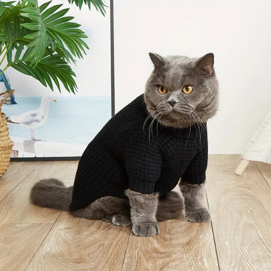 Pet Sweater